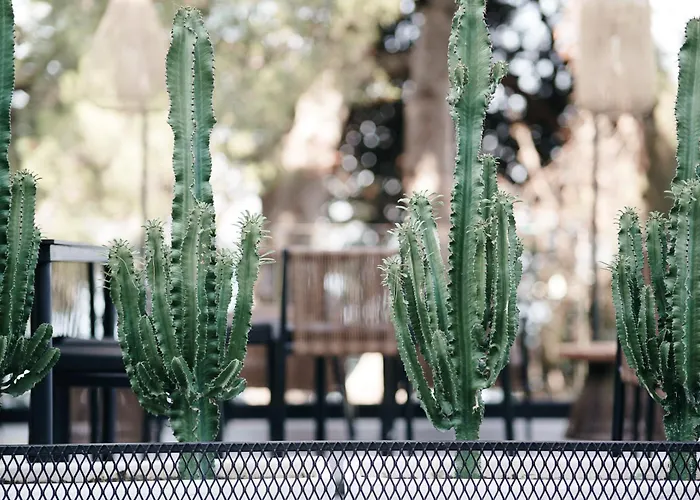 亚若奥酒店 4* Sarandë